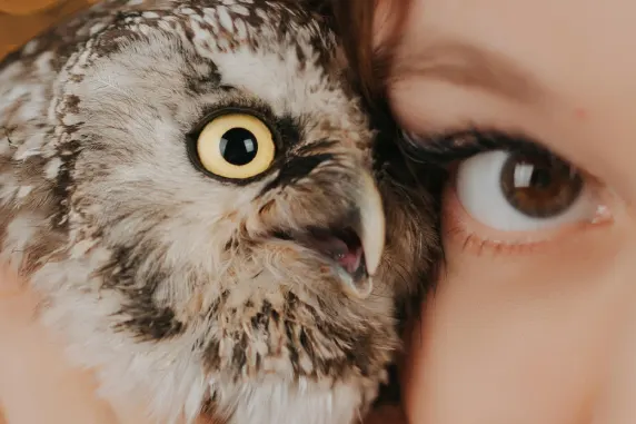 Kasino Palace of Chance Podpora